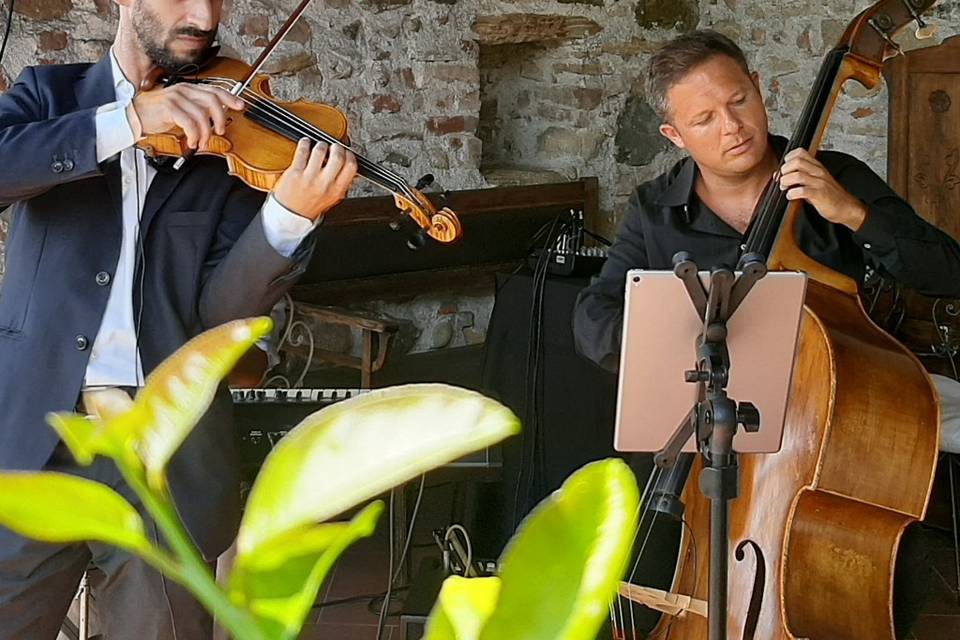 Violino e contrabbasso