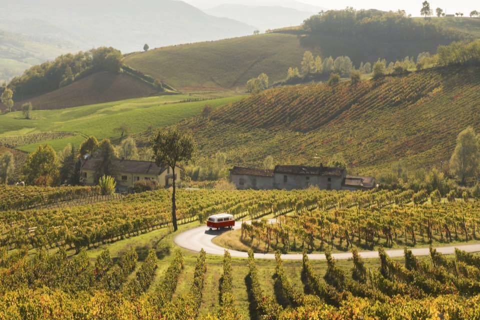 Panoramica-Bar-Bus Pianello