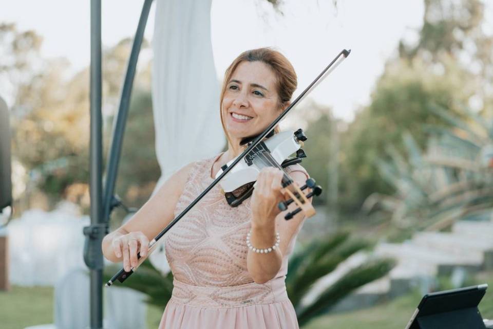 Electric Violin