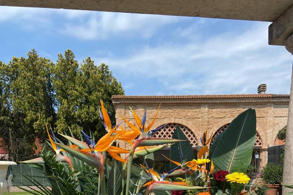Pozzo location