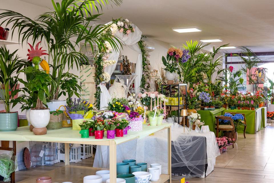 Banco fiori