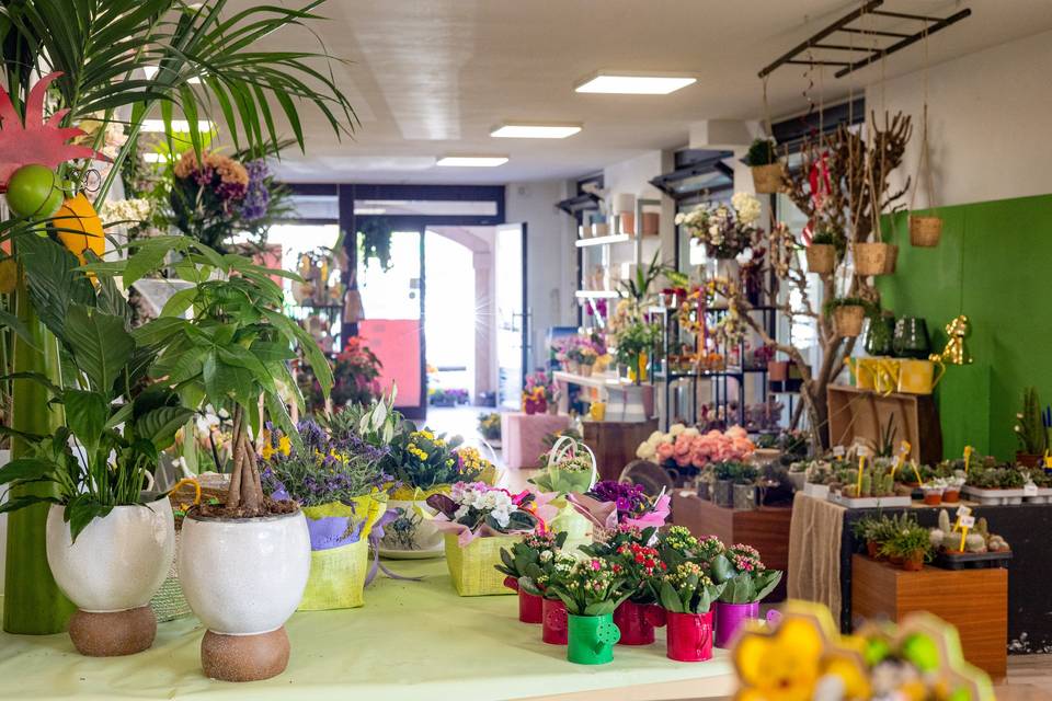 Negozio fiori