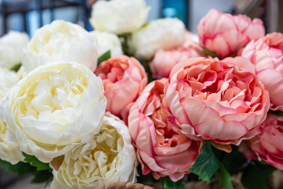 Rose rosa
