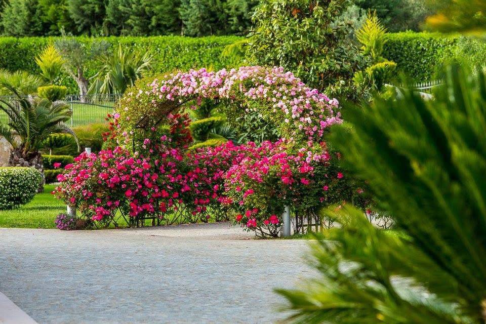 Arco di Rose