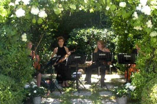 Lady's Orchestra