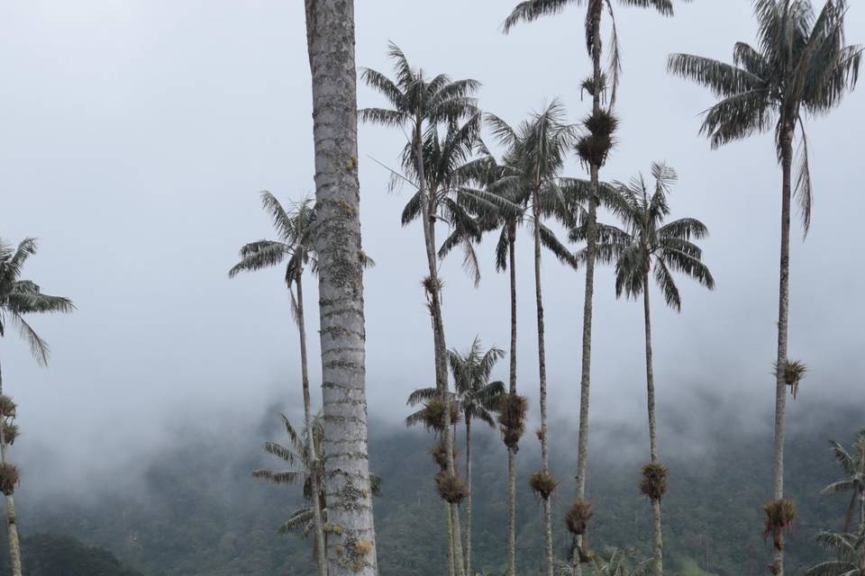 Colombia