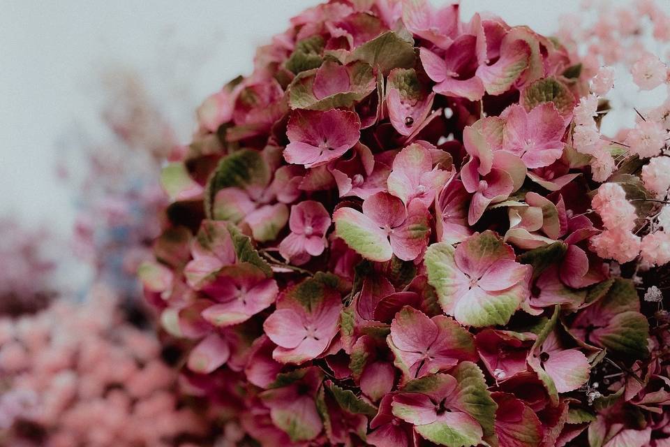 Seta Event and Floral Designer