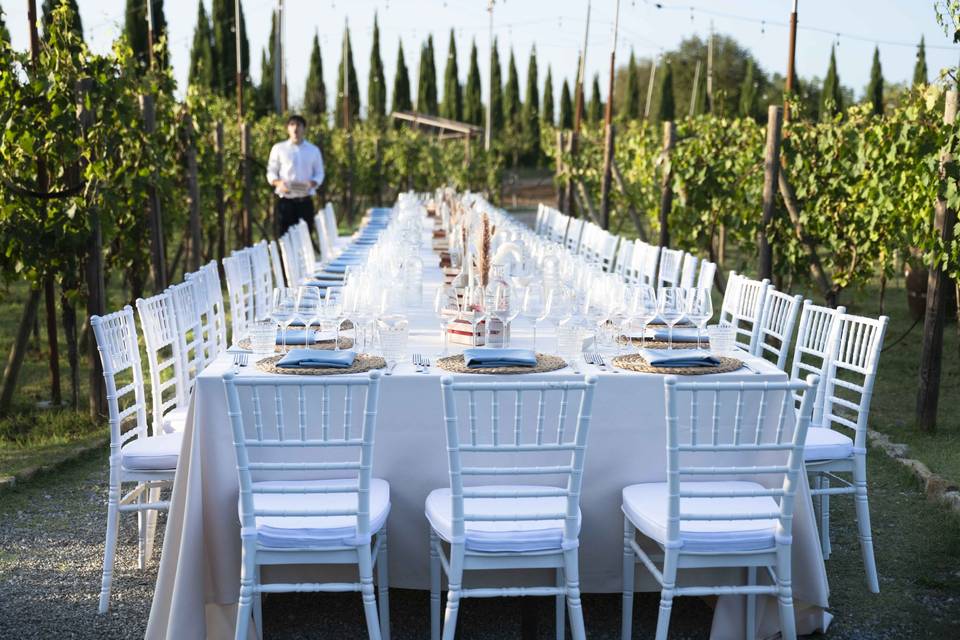 Allestimento in vigna