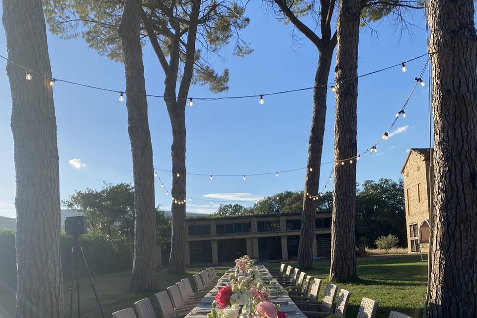 Cena in giardino