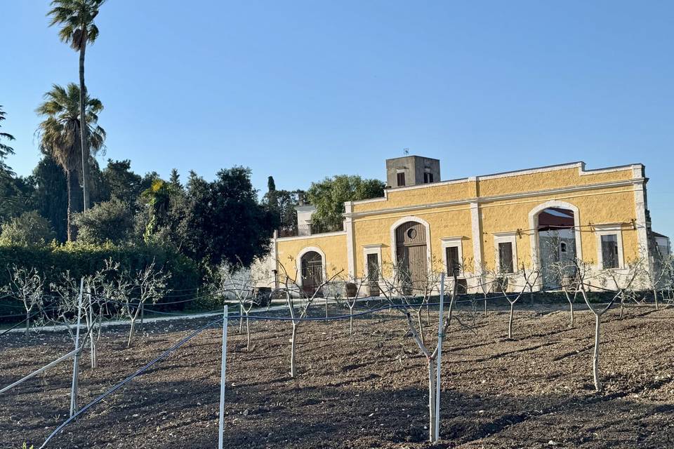 Museo del Vino