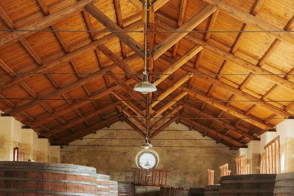 Museo del Vino