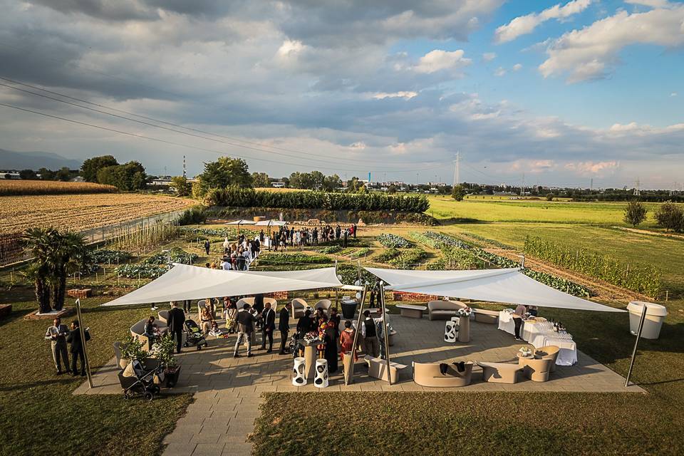 Aperitivo Orto