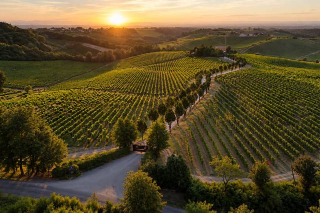 Tenuta La Meirana