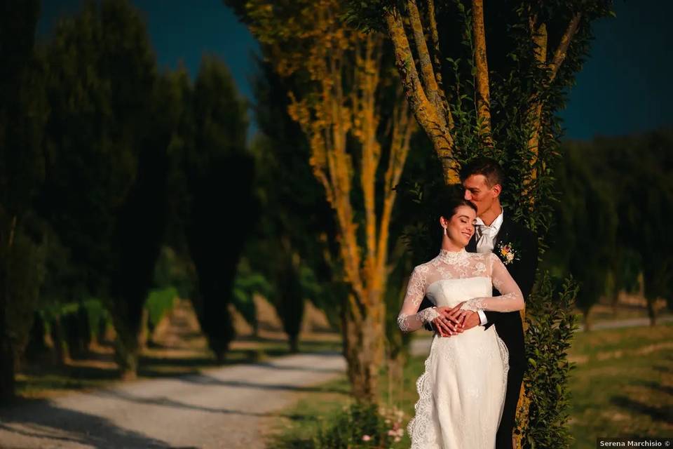 Viale nei vigneti