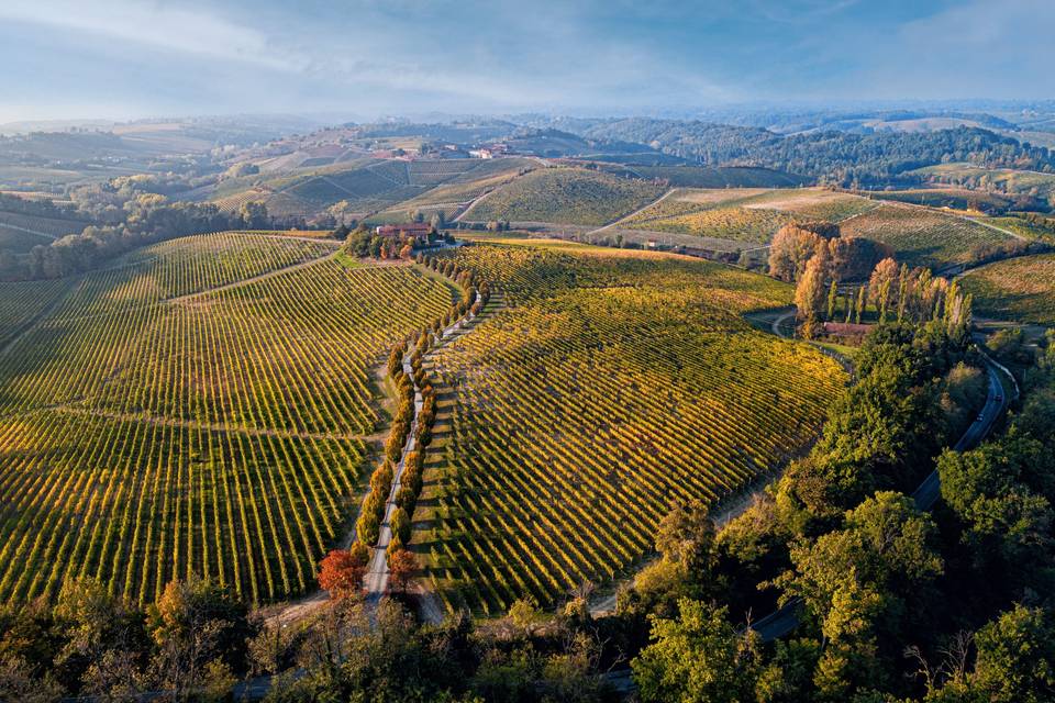 Broglia Tenuta La Meirana