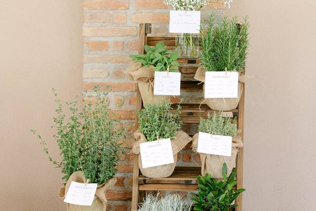Erbe aromatiche