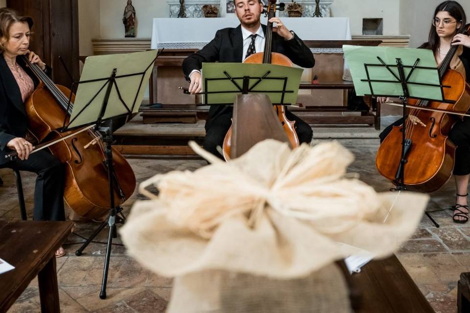 Ensemble di violoncelli