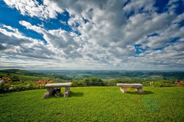 Tenuta Coffele