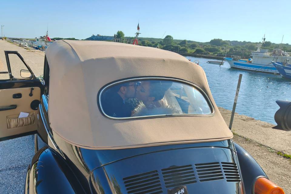 Maggiolino