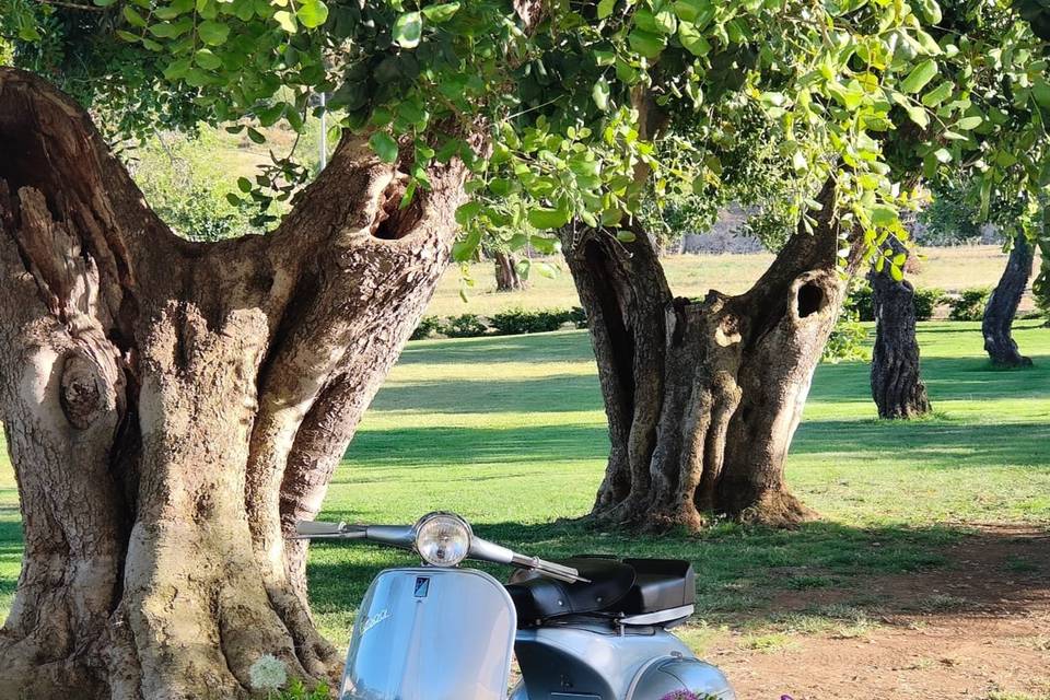 Wedding in vespa