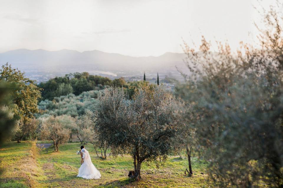 Tuscan landscape