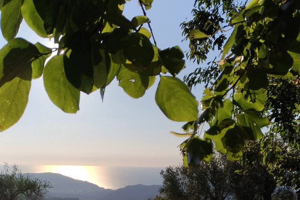 Tenuta il Pilaccio nel Cilento