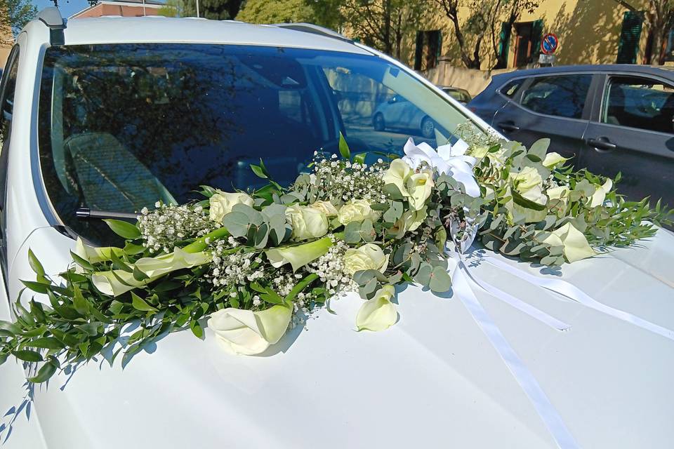 Allestimento auto
