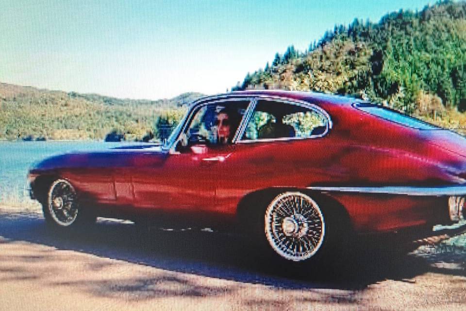 Jaguare