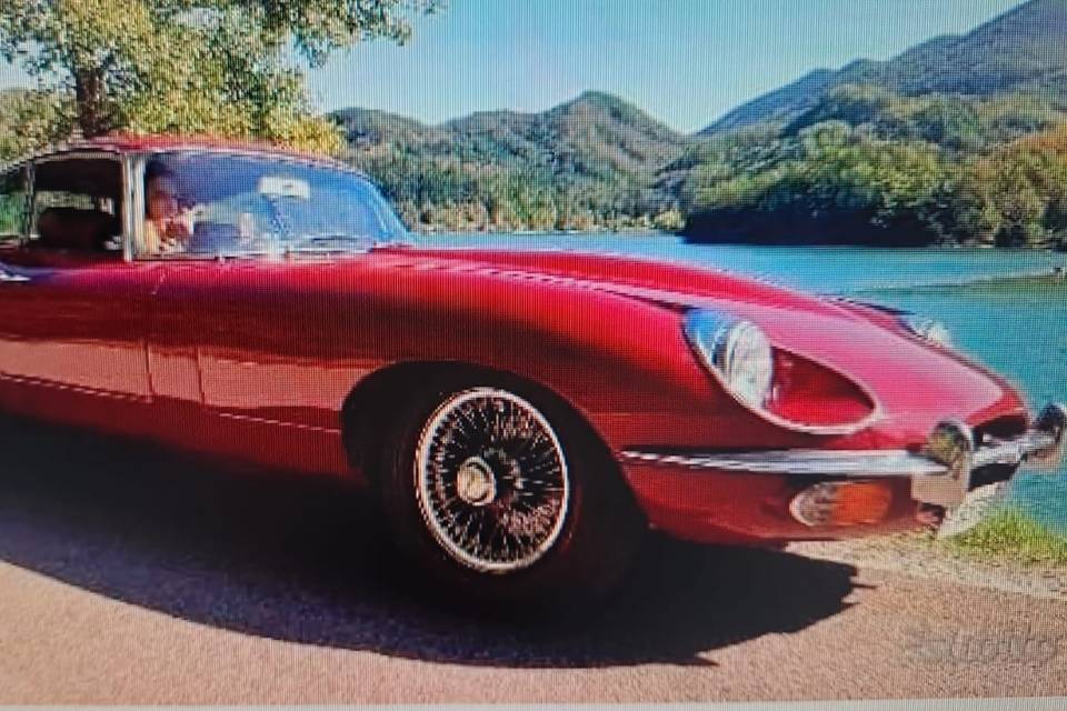 Jaguare