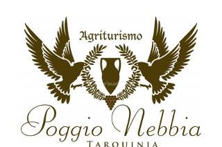 Poggio Nebbia