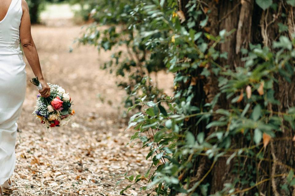 Una passeggiata in mezzo alla campagna