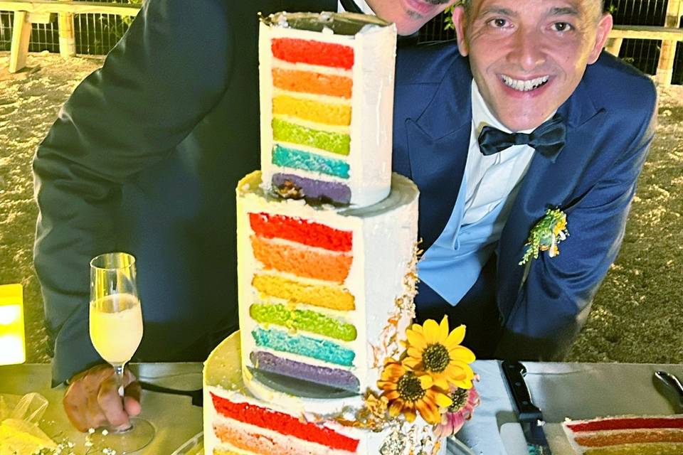 Rainbow Wedding cake