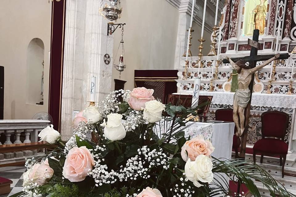 Elegantissima rosa