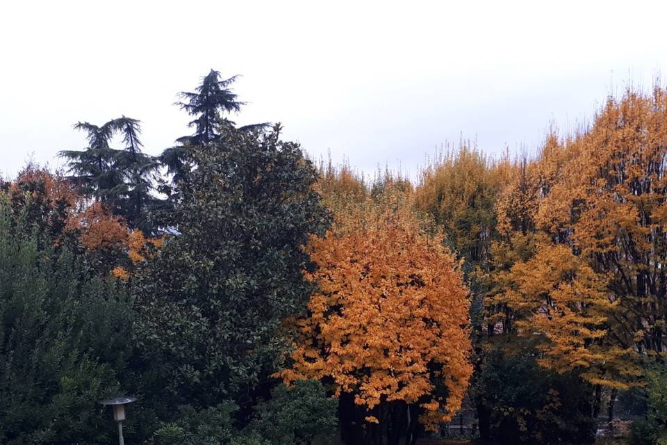 Autunno