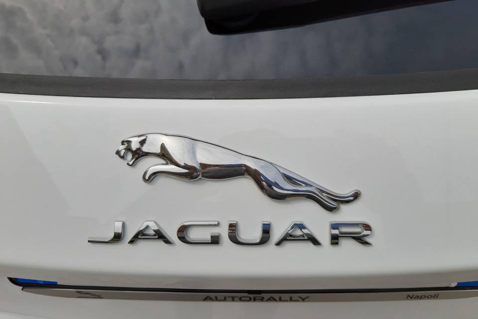 Jaguar