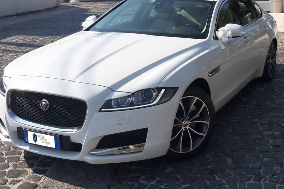 Jaguar xf bianca