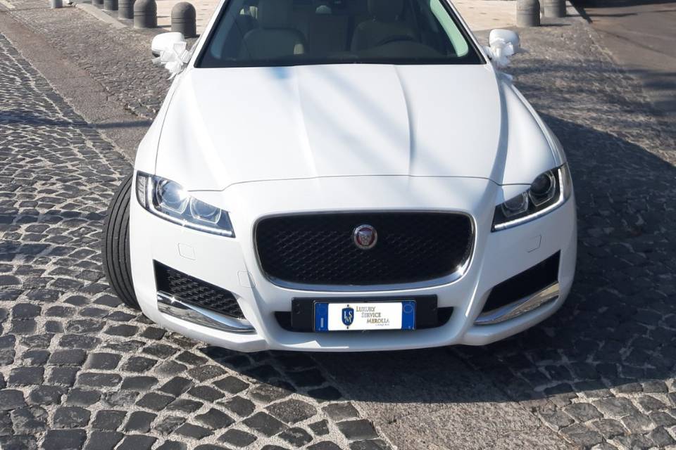 Jaguar xf bianca