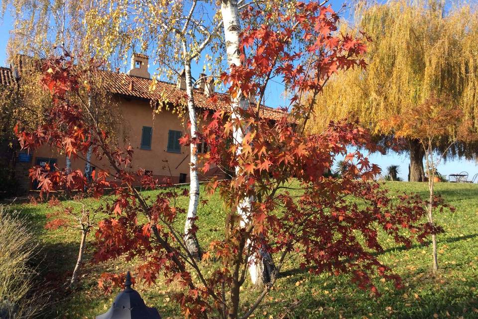 Tenuta Al Monte