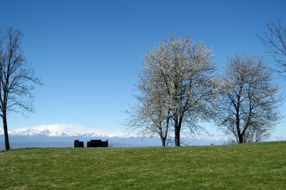 Tenuta Al Monte