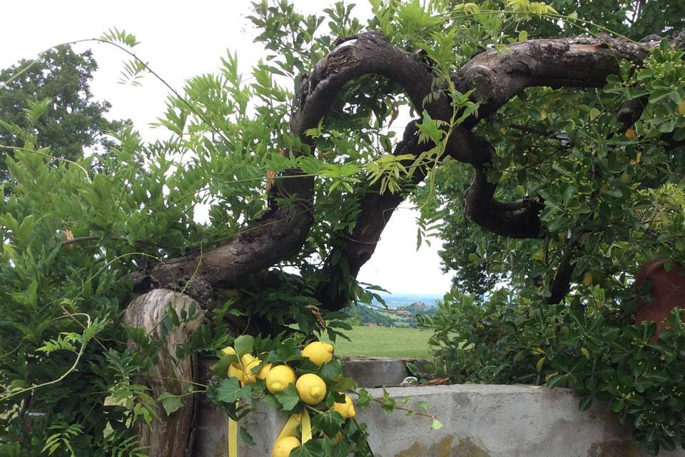 Matrimonio in giallo