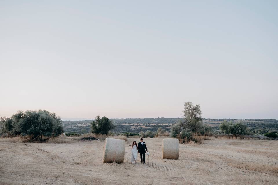 I campi di grano