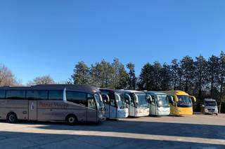 Petruz Viaggi Bus