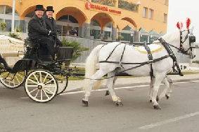 Carrozze Gia.Ma.