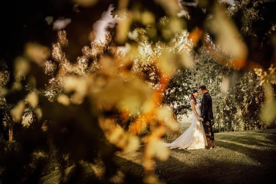 Un Altro Matrimonio - Studio Fotografico