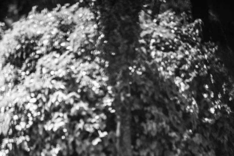 Studio Fotografico Monteverde