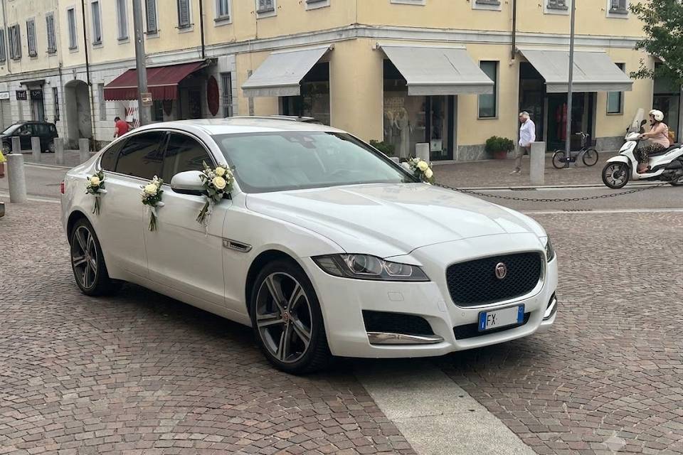2026/1