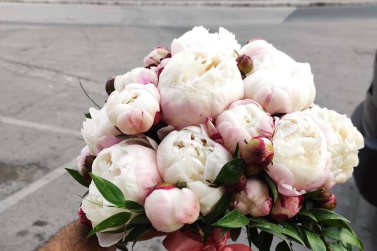Peonie