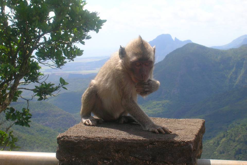 Mauritius