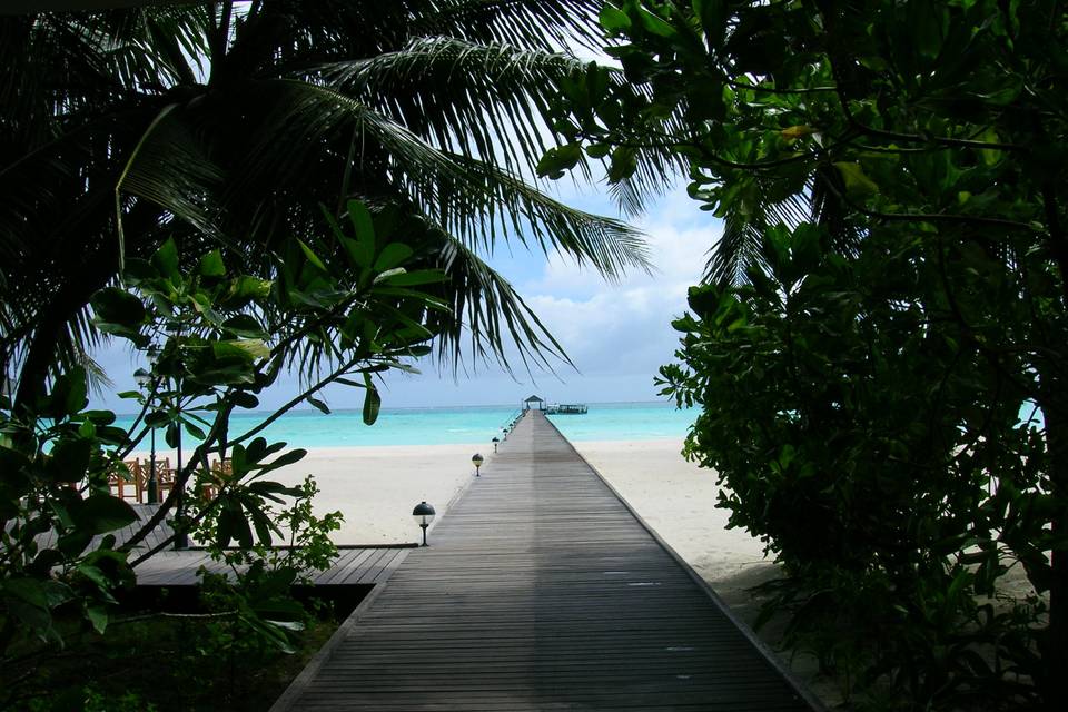 Maldive