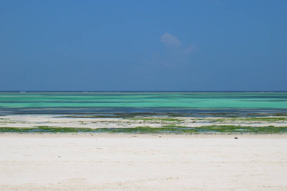 Zanzibar